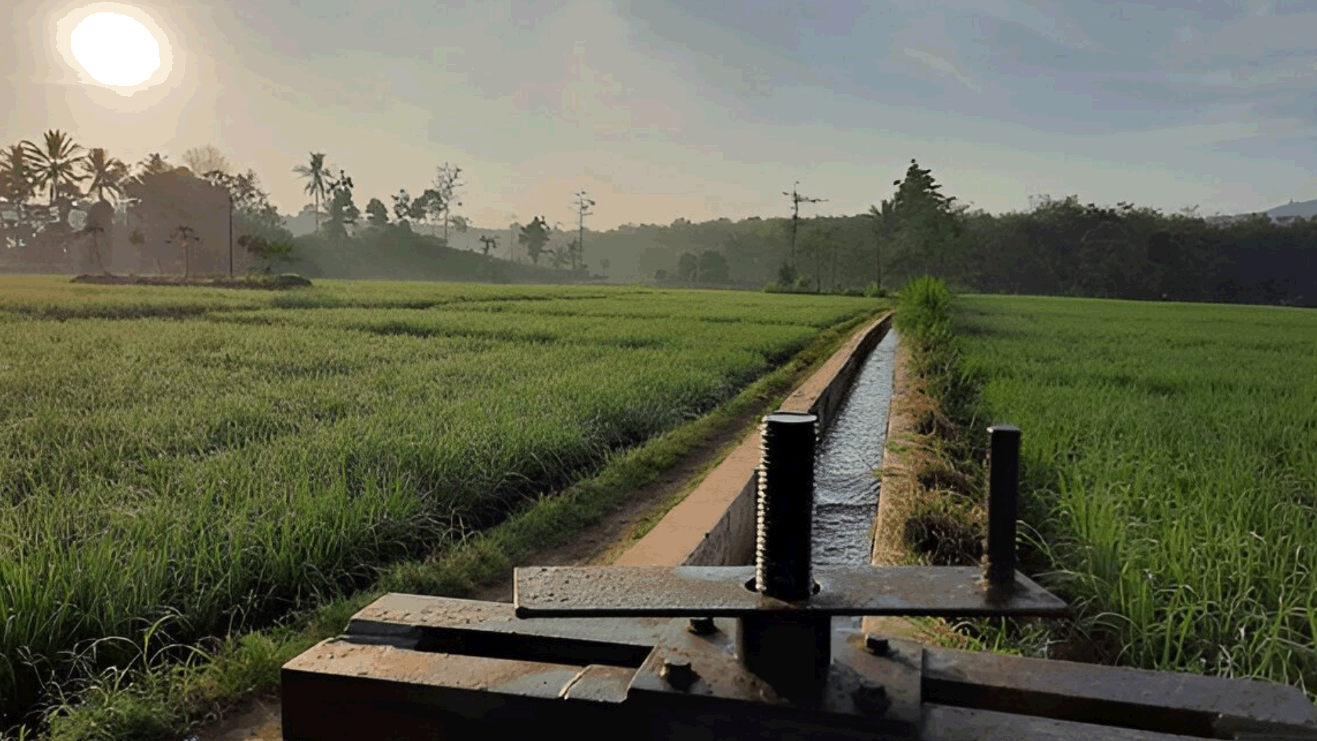 Sistem Irigasi Sawah